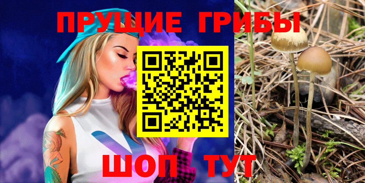 Галлюциногенные грибы мицелий Курчалой