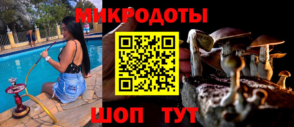 даркнет сайт  Вход с VPN  Курчалой  Псилоцибиновые грибы Psilocybe 